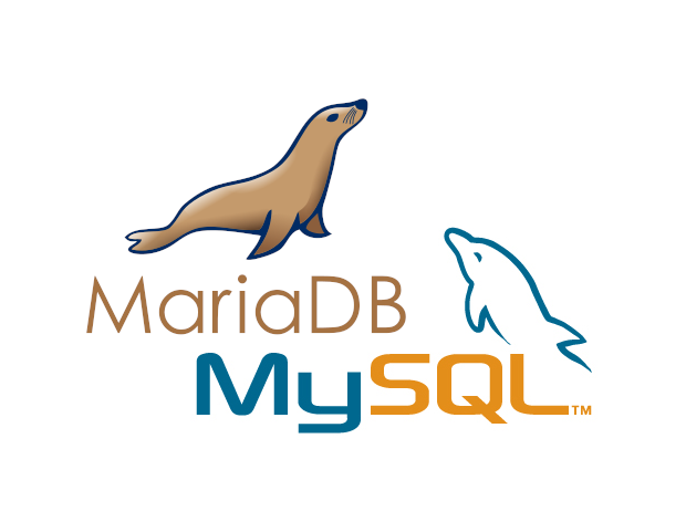 Formation Administration MySQL - MariaDB